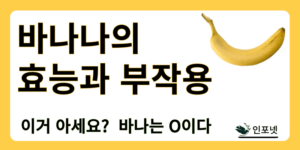 바나나의 효능과 부작용