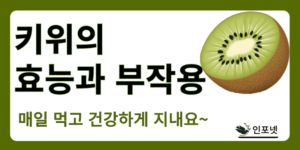 키위 효능과 부작용