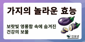 가지 썸네일