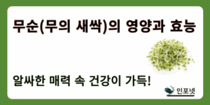 무순 영양과 효능 썸네일