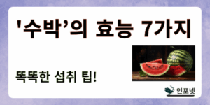 수박의 효능 썸네일