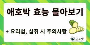 애호박 효능 썸네일