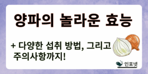양파 썸네일