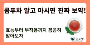 콤푸차 썸네일