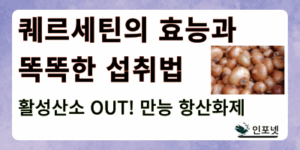 퀘르세틴 효능