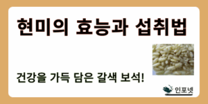 현미 썸네일