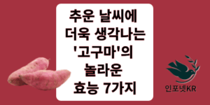 고구마 썸네일