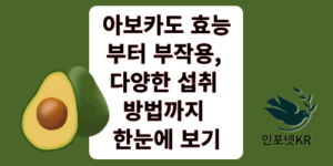 아보카도효능 썸네일