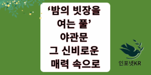 야관문 썸네일