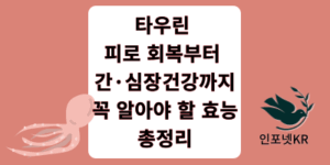 타우린 효능 썸네일